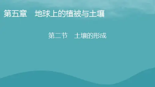 2023年新教材高中地理第5章地球上的植被与土壤第2节土壤的形成课件湘教版必修第一册