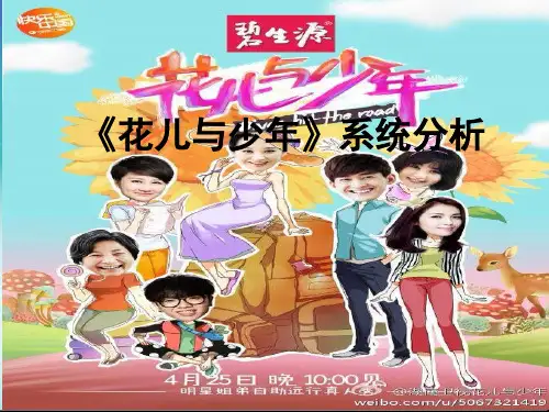 花儿与少年系统分析 (版本2)