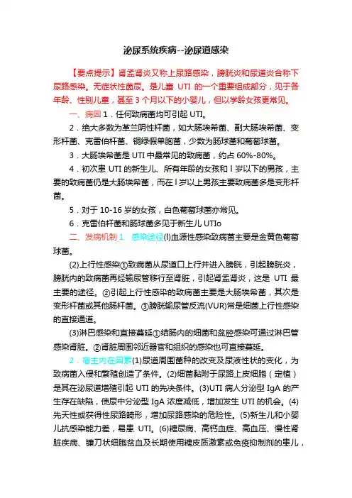 泌尿系统疾病--泌尿道感染