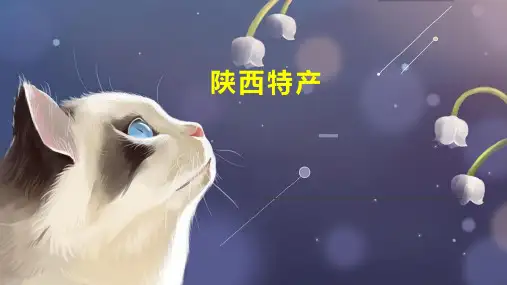 陕西特产  