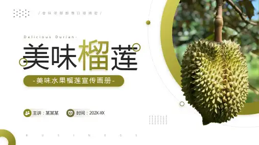 水果榴莲介绍PPT模板