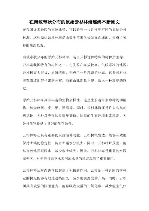 在南坡带状分布的原始云杉林海连绵不断原文