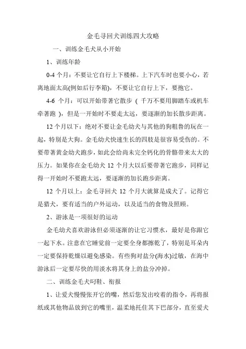 金毛寻回犬训练四大攻略