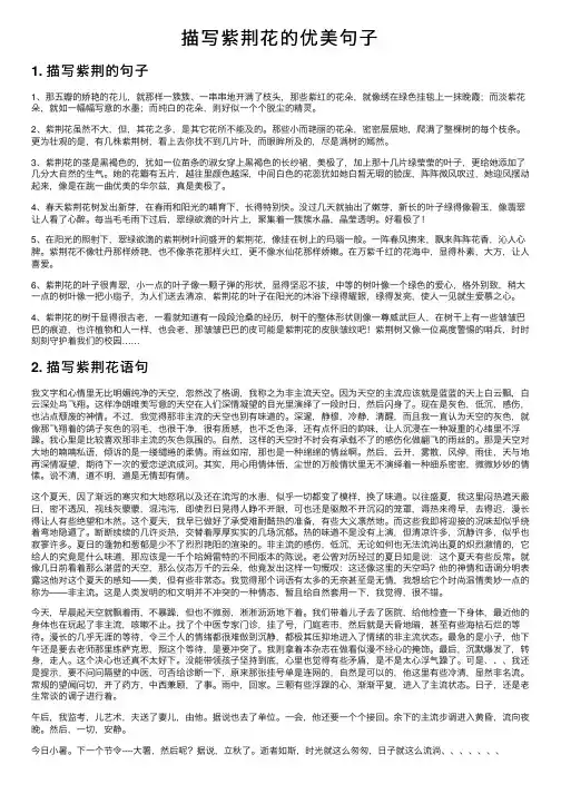 描写紫荆花的优美句子