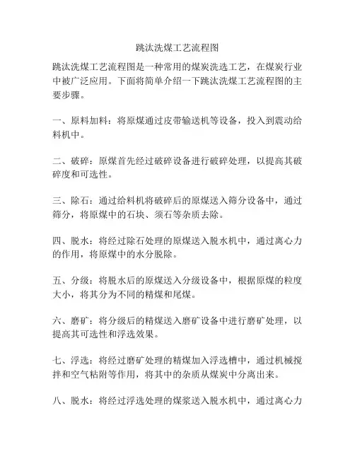 跳汰洗煤工艺流程图