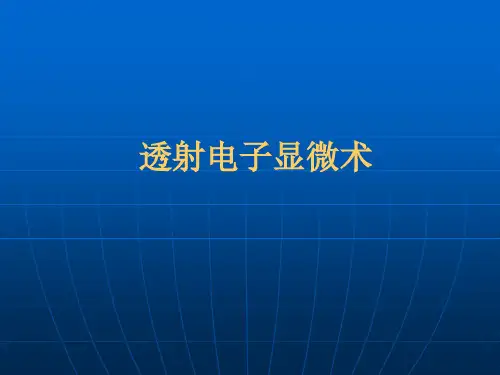 TEM-01 PPT课件