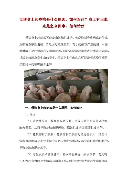 母猪身上起疙瘩是什么原因,如何治疗？身上有出血点是怎么回事,如何治疗