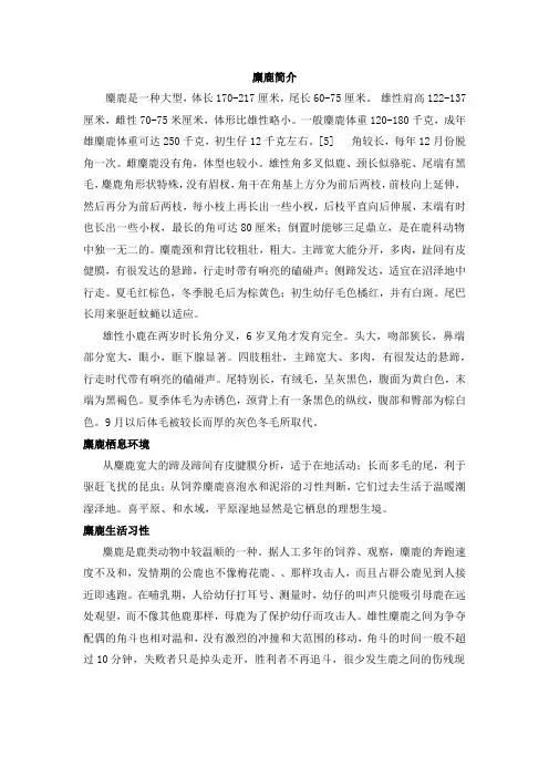 麋鹿简介