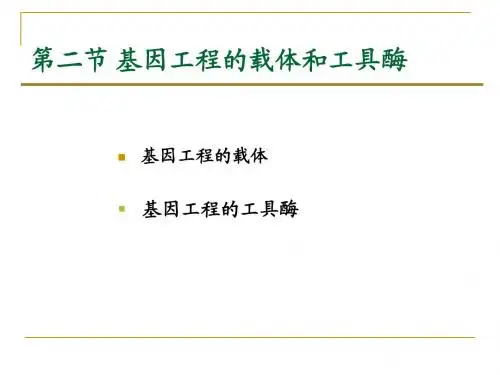 2.2 基因工程的载体和工具酶