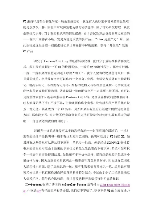 WB蛋白印迹