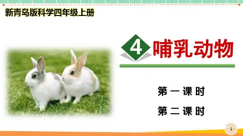 新青岛版科学四年级上册《哺乳动物》优质课件