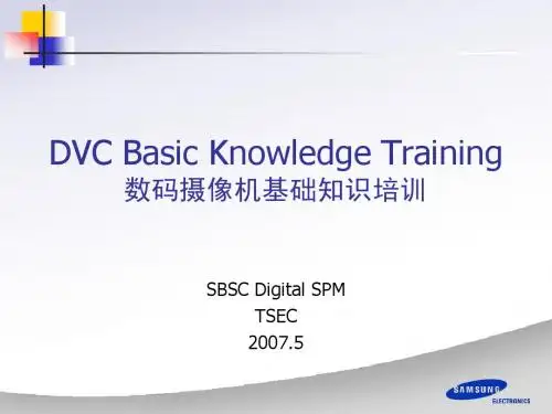 DVC基础知识
