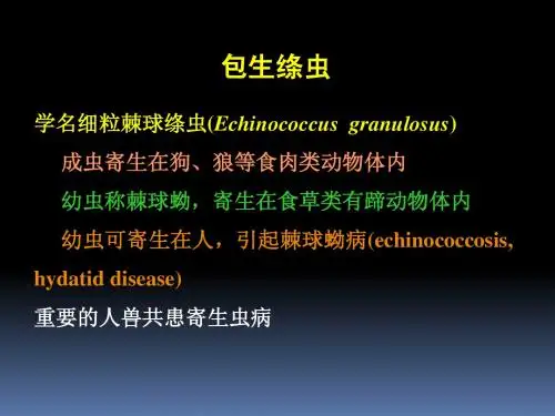 绦虫2