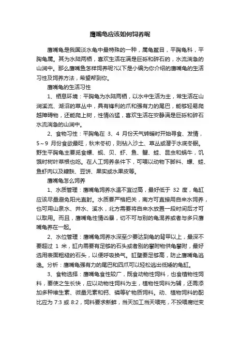 鹰嘴龟应该如何饲养呢