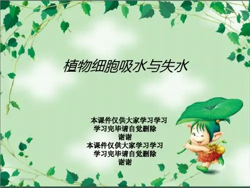 植物细胞吸水与失水