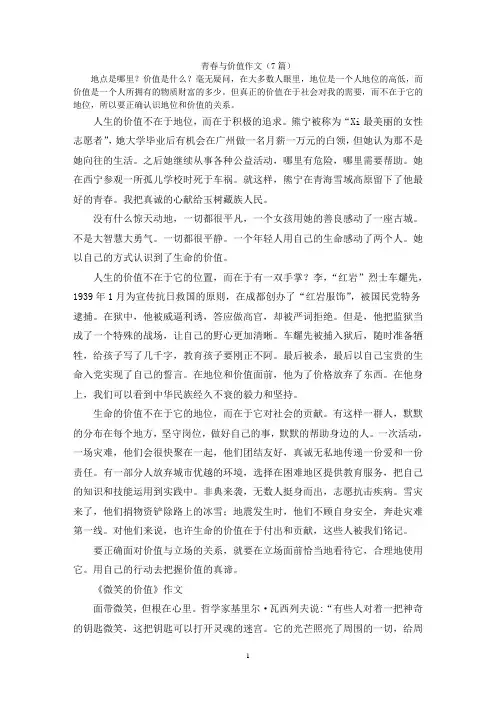 青春与价值作文(7篇)