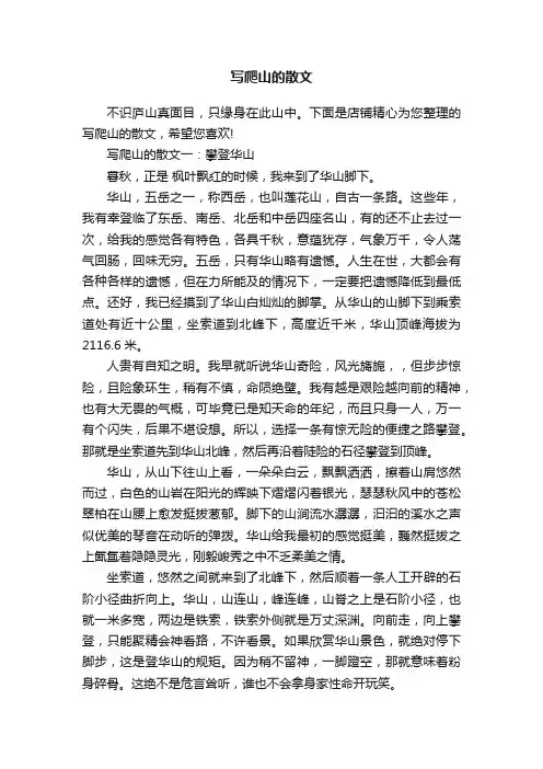 写爬山的散文