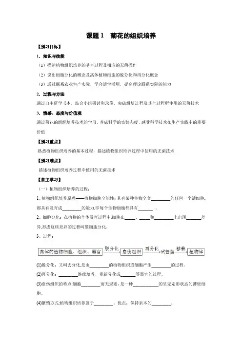 学案6：3.1菊花的组织培养