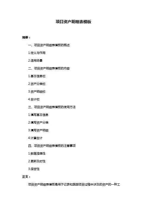 项目资产明细表模板
