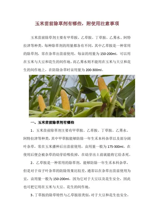 玉米苗前除草剂有哪些,附使用注意事项