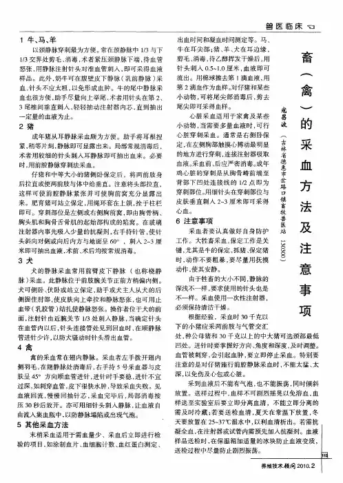 畜(禽)的采血方法及注意事项