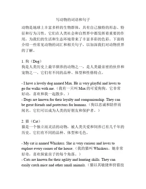写动物的词语和句子