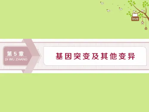 2020年新教材高中生物第5章基因突变及其他变异第1节基因突变和基因重组课件修第二册