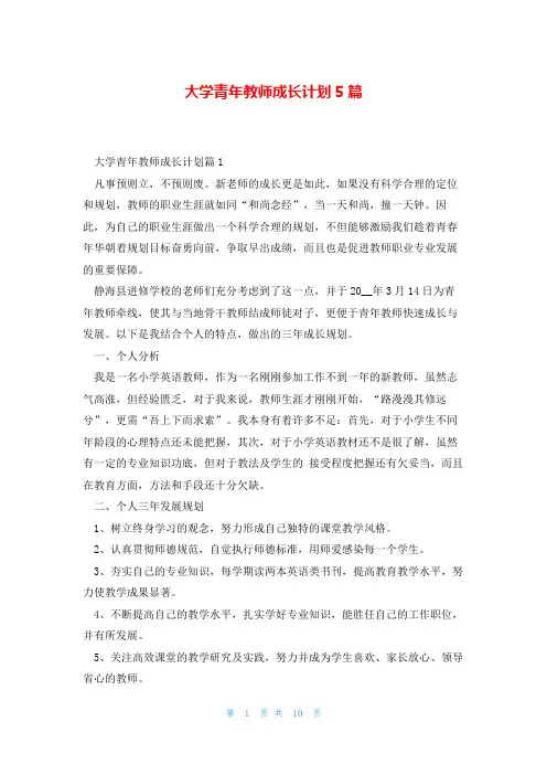 大学青年教师成长计划5篇