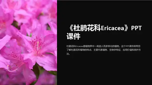 《杜鹃花科Ericacea》课件