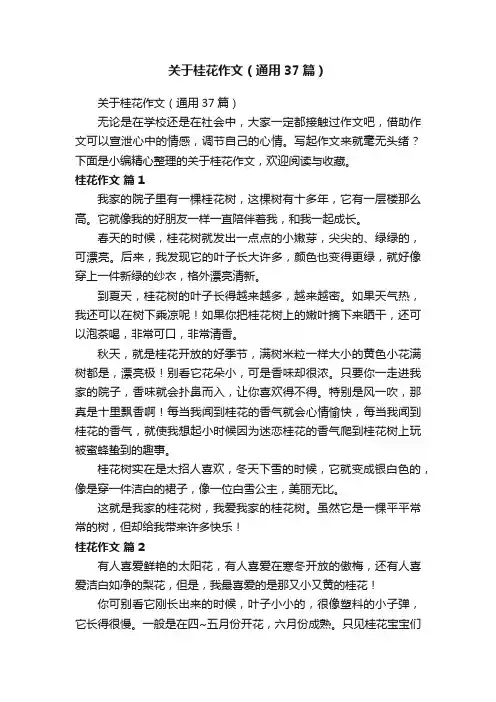 关于桂花作文（通用37篇）