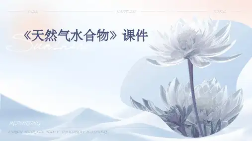 《天然气水合物》课件