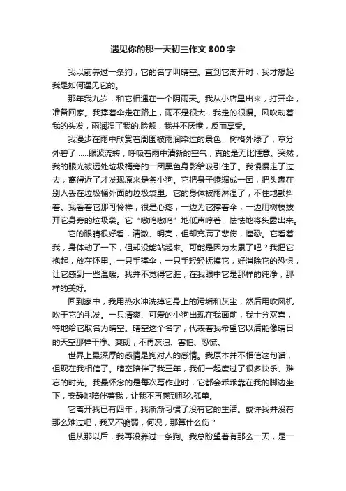 遇见你的那一天初三作文800字