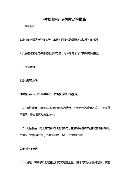 植物繁殖与种植实验报告