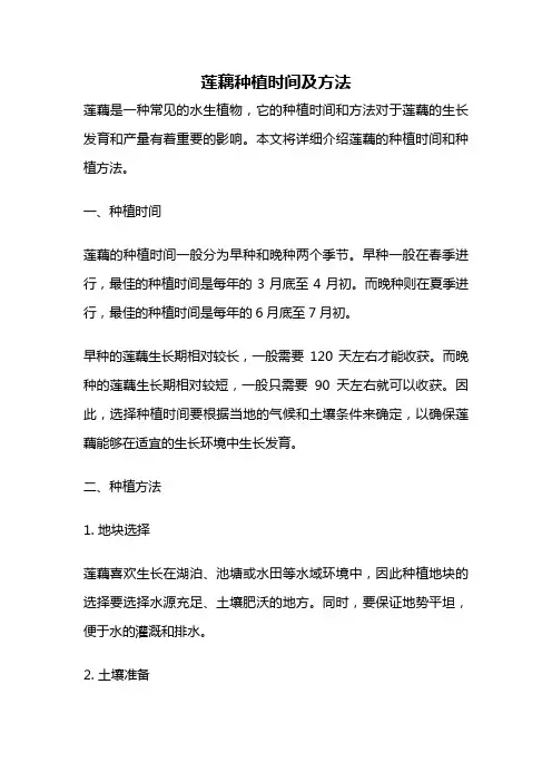 莲藕种植时间及方法