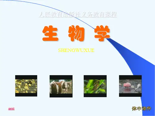 生物八上第一章第四节鱼——探究鱼鳍作用创新实验课件