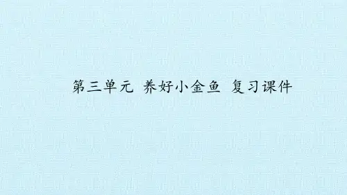 六年级下册科学第三单元养好小金鱼复习大象版