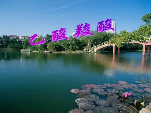 《乙酸羧酸》PPT课件