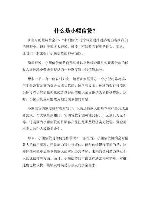 什么是小额信贷？