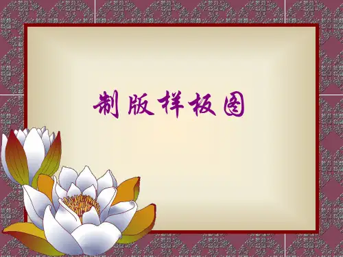 电脑横机软件制版样板图演示教学