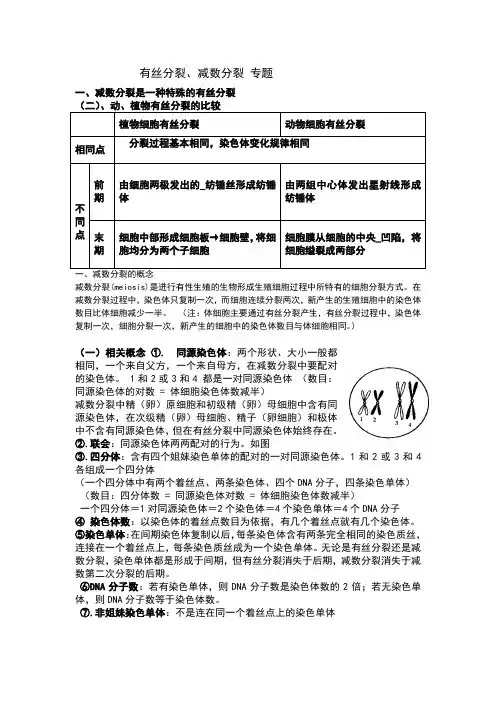 有丝分裂减数分裂全部知识点题型总结