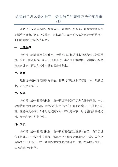 金鱼吊兰怎么养才开花(金鱼吊兰的养殖方法和注意事项)