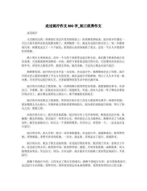 走过泥泞作文800字_初三优秀作文