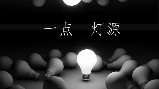 简约灯光节约能源活动模板(共22张PPT)