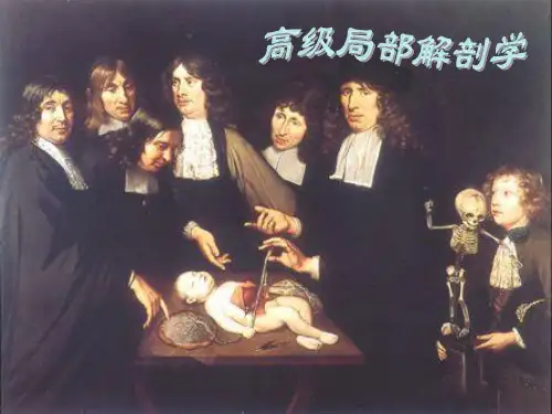 局部解剖学(复旦大学)(1)