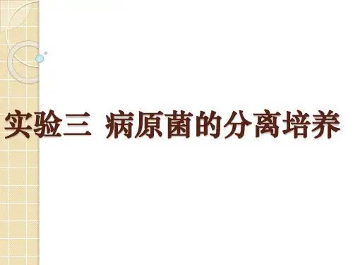 实验三 病原菌的分离培养