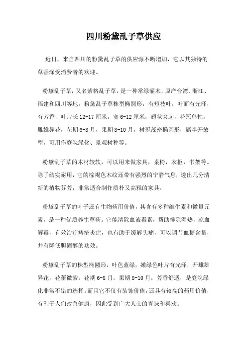 四川粉黛乱子草供应