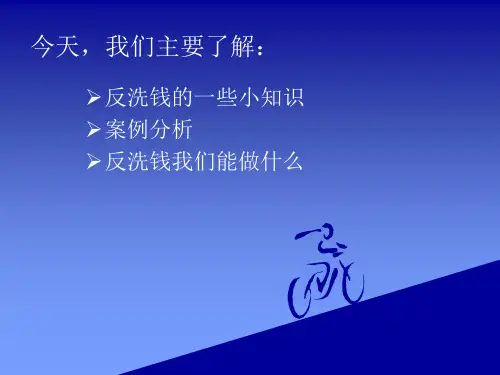 《银行新员工培训》反洗钱培训课件241页PPT