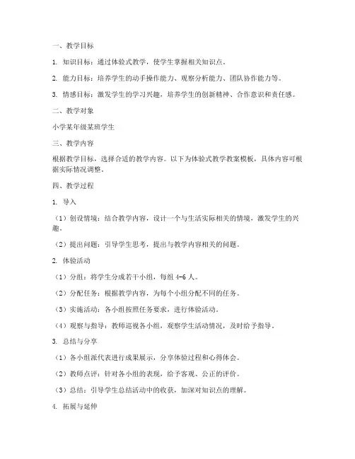 小学体验式的教学教案模板