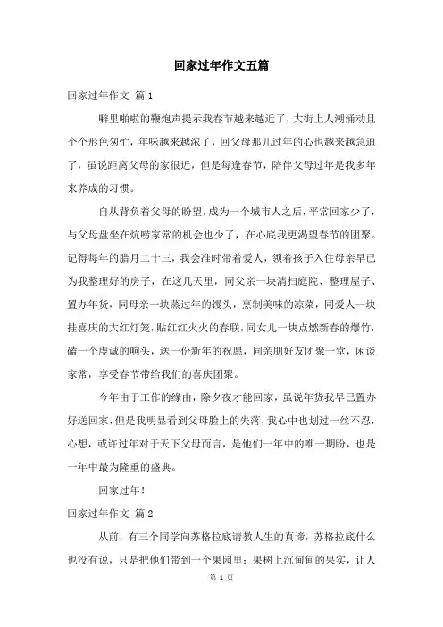 回家过年作文五篇