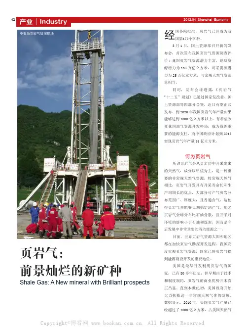 页岩气：前景灿烂的新矿种徐
